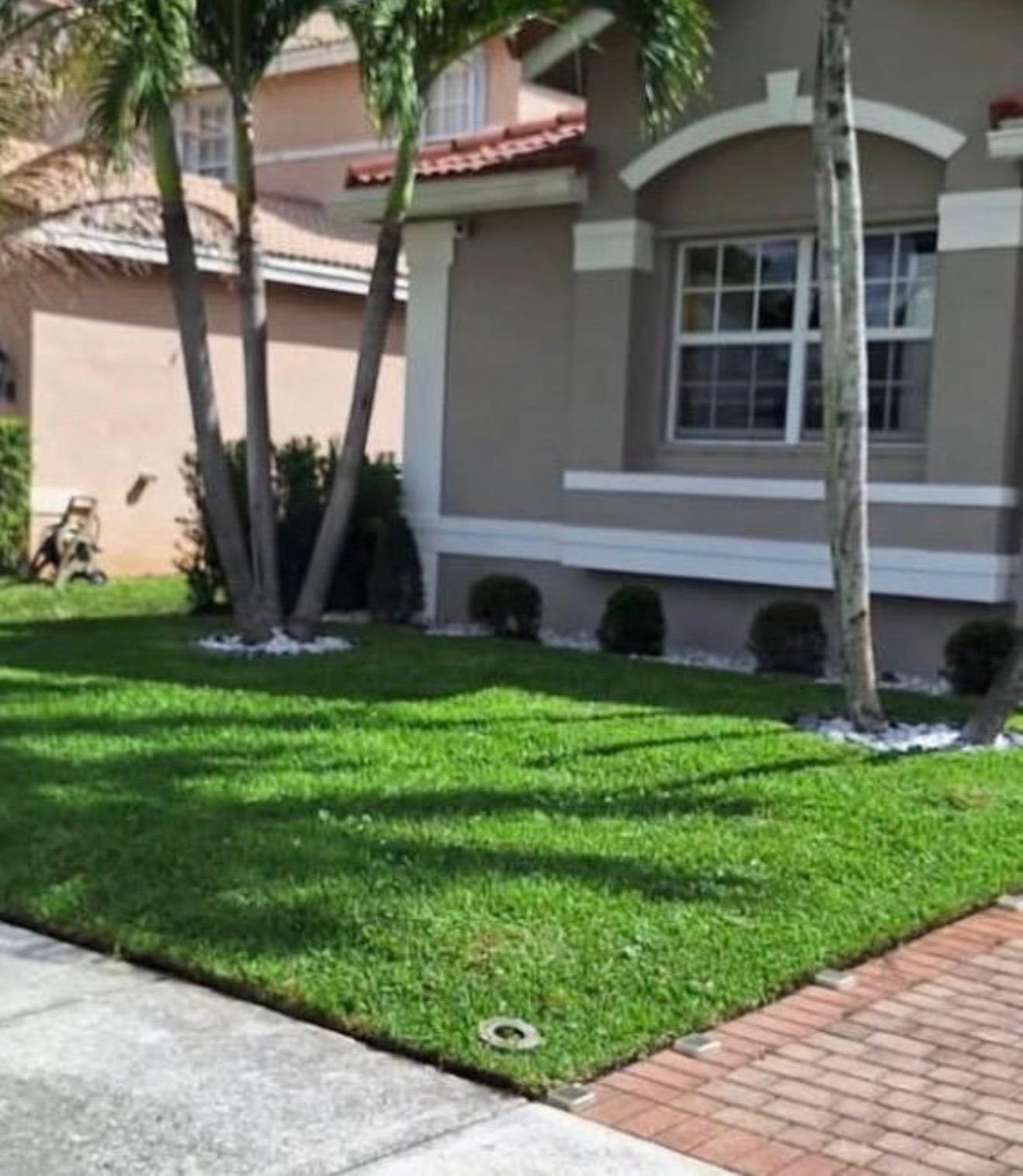 Fresh sod and front yard landscaping in Broward County
